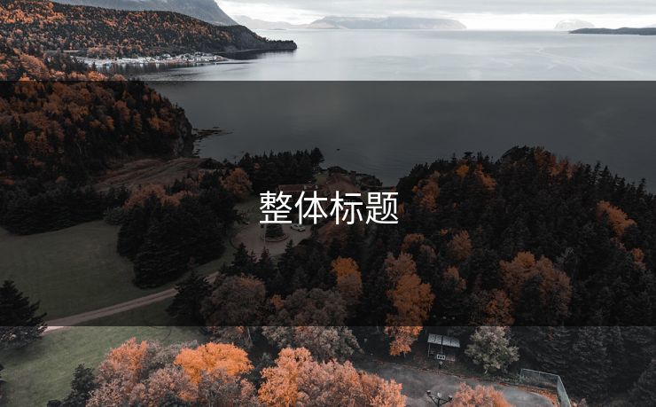 整体标题