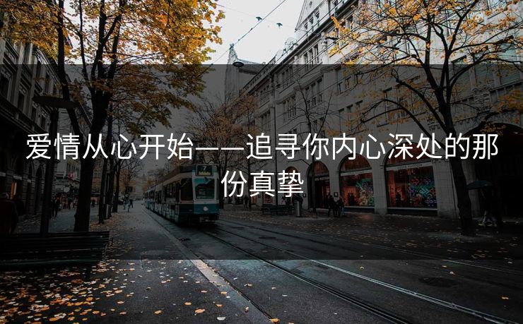 爱情从心开始——追寻你内心深处的那份真挚