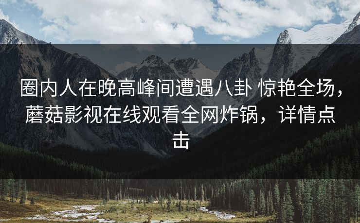 圈内人在晚高峰间遭遇八卦 惊艳全场，蘑菇影视在线观看全网炸锅，详情点击